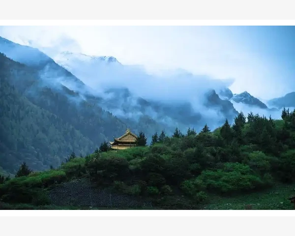 化痰润肺米糊的有效方法与功效