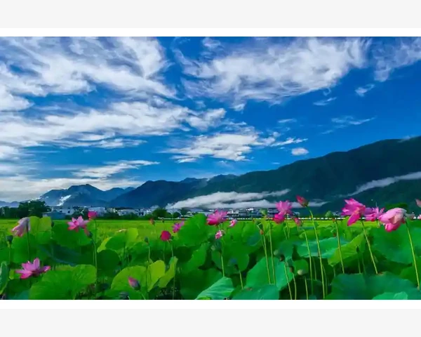 腹部针灸的好处和十大功效