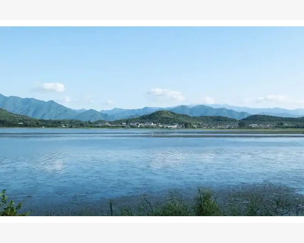 化痰润肺食谱 减脂水果 帮你健康轻盈